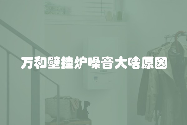 万和壁挂炉噪音大啥原因