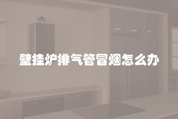 壁挂炉排气管冒烟怎么办