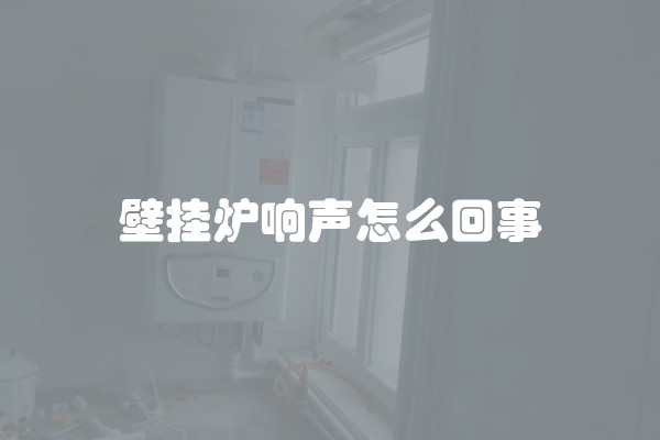 壁挂炉响声怎么回事