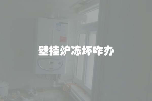 壁挂炉冻坏咋办