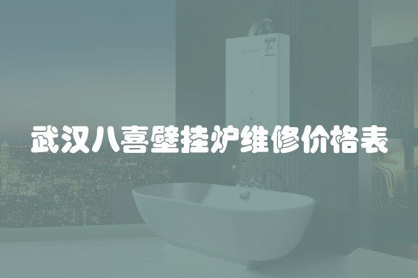 武汉八喜壁挂炉维修价格表
