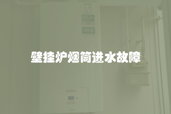 壁挂炉烟筒进水故障