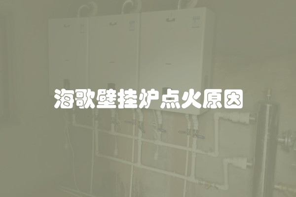 海歌壁挂炉点火原因