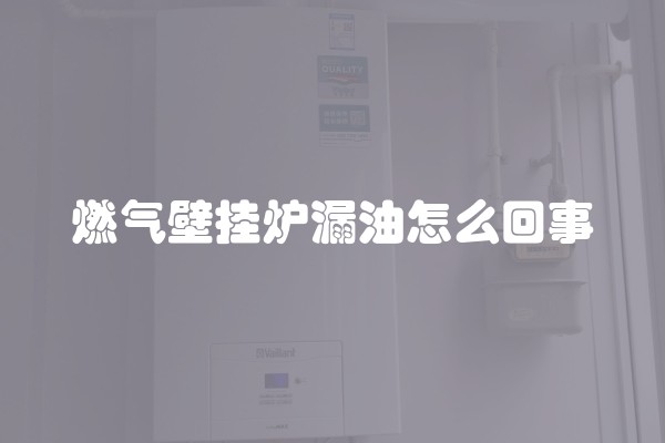 燃气壁挂炉漏油怎么回事