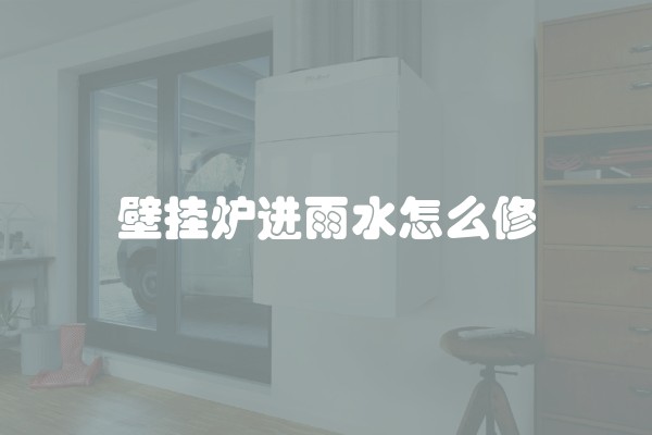 壁挂炉进雨水怎么修