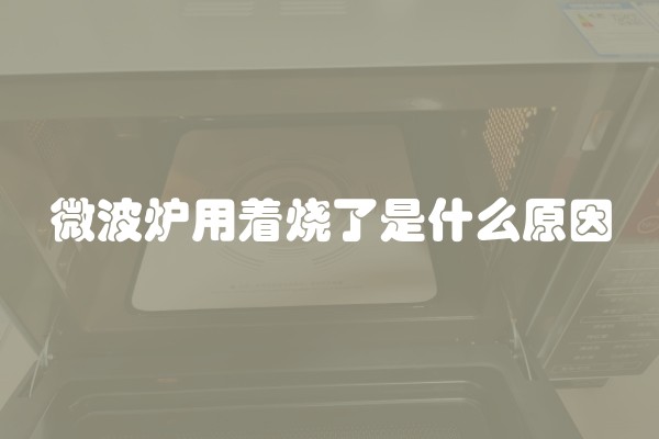 微波炉用着烧了是什么原因