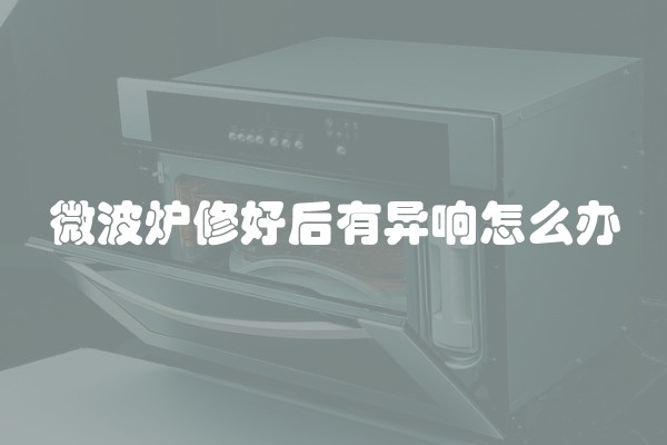 微波炉修好后有异响怎么办