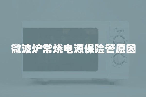 微波炉常烧电源保险管原因