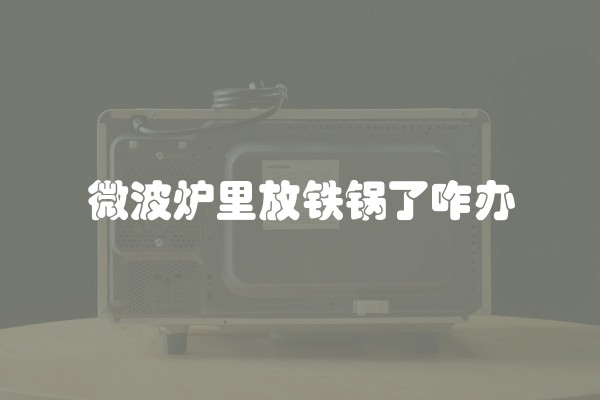 微波炉里放铁锅了咋办