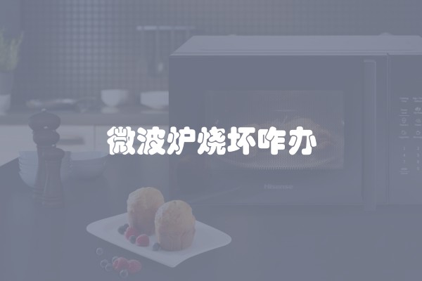 微波炉烧坏咋办