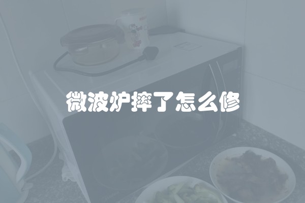 微波炉摔了怎么修