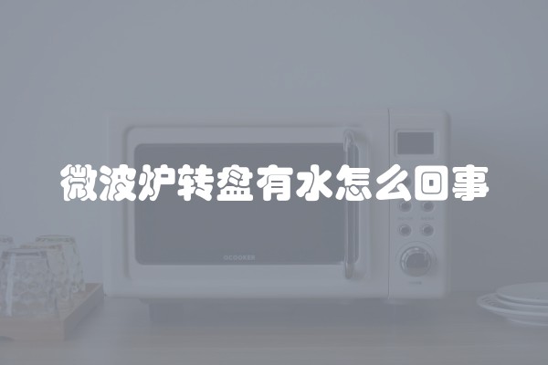 微波炉转盘有水怎么回事