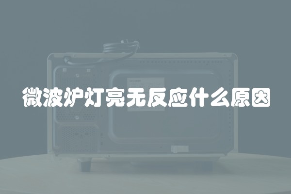 微波炉灯亮无反应什么原因