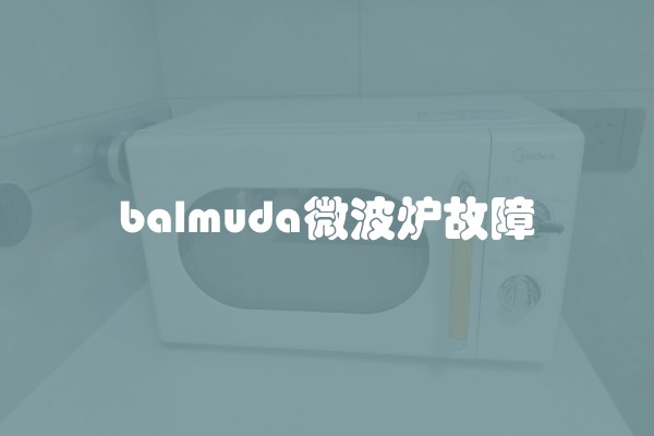 balmuda微波炉故障