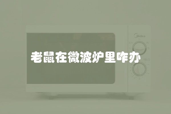 老鼠在微波炉里咋办