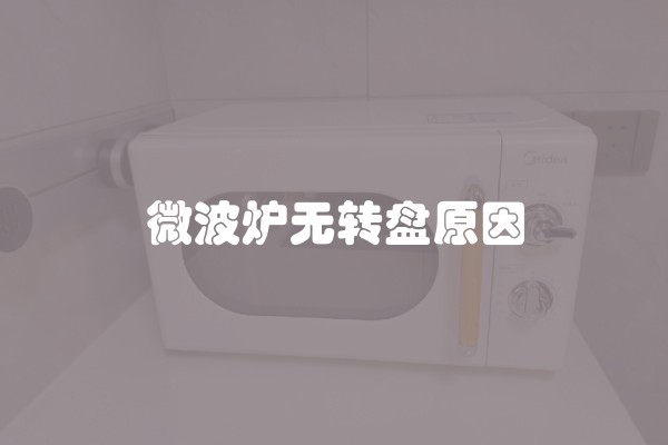 微波炉无转盘原因