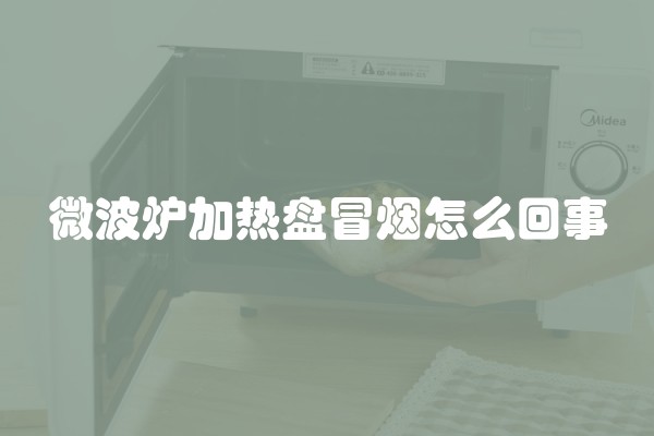 微波炉加热盘冒烟怎么回事