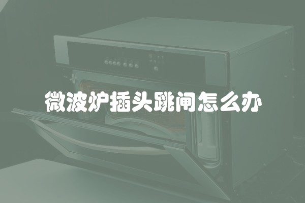 微波炉插头跳闸怎么办