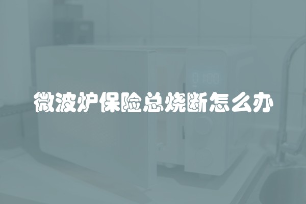 微波炉保险总烧断怎么办