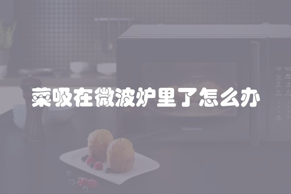 菜吸在微波炉里了怎么办