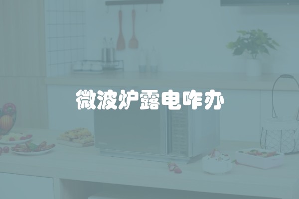 微波炉露电咋办