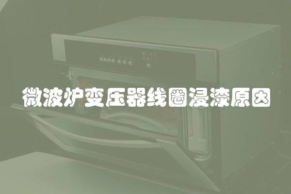 微波炉变压器线圈浸漆原因