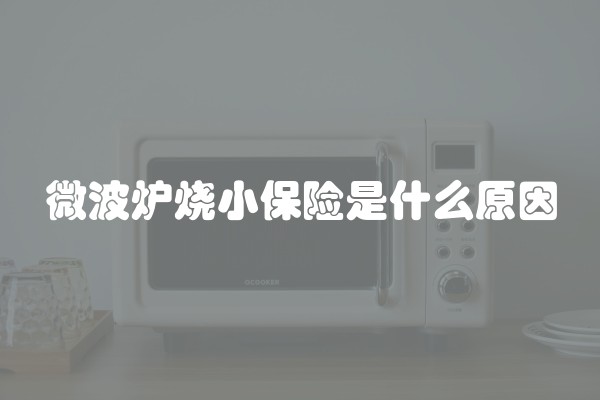 微波炉烧小保险是什么原因