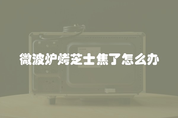 微波炉烤芝士焦了怎么办