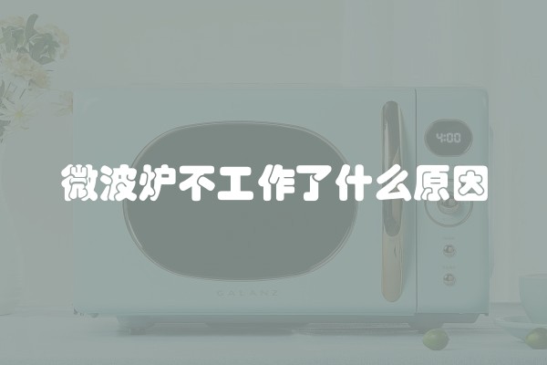 微波炉不工作了什么原因