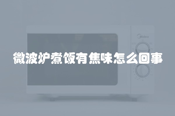 微波炉煮饭有焦味怎么回事