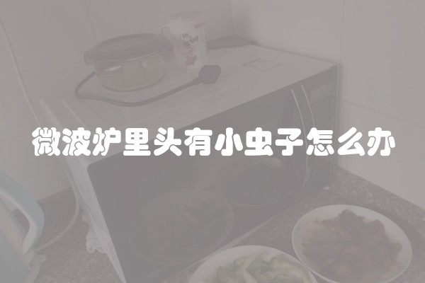 微波炉里头有小虫子怎么办