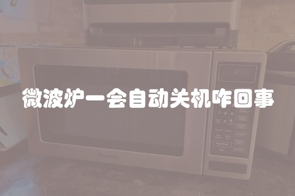 微波炉一会自动关机咋回事