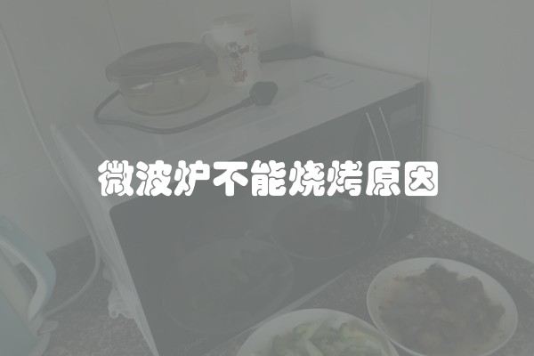 微波炉不能烧烤原因