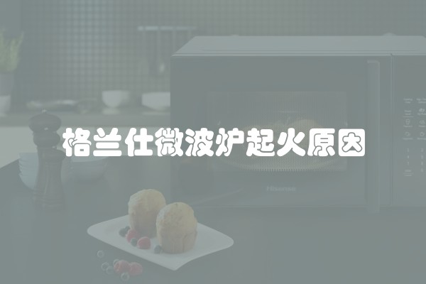 格兰仕微波炉起火原因
