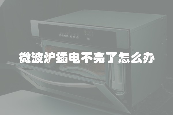 微波炉插电不亮了怎么办