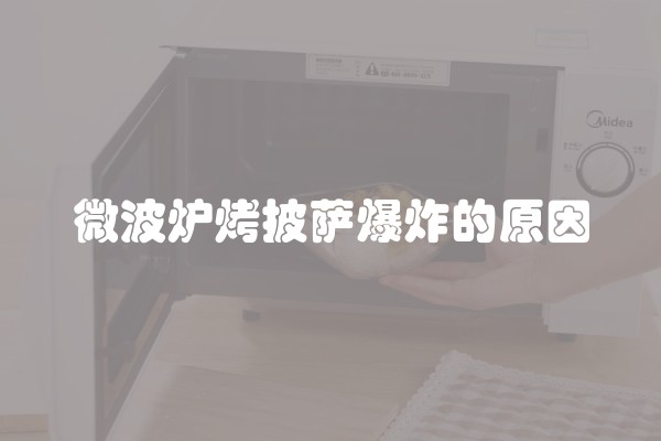 微波炉烤披萨爆炸的原因