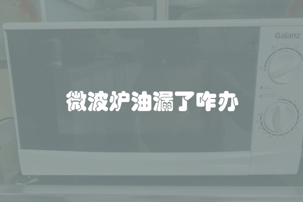 微波炉油漏了咋办