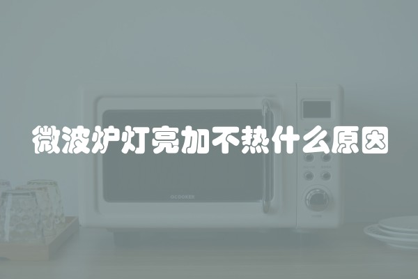 微波炉灯亮加不热什么原因