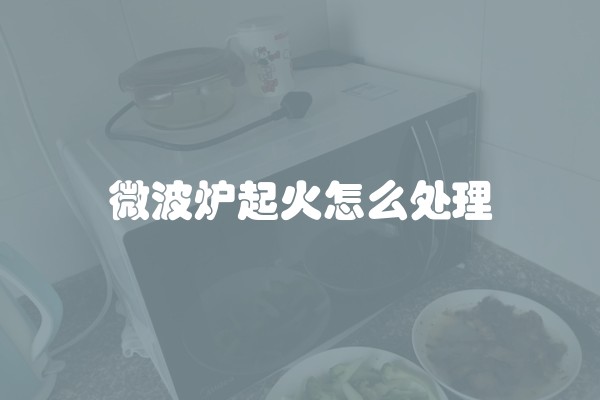 微波炉起火怎么处理