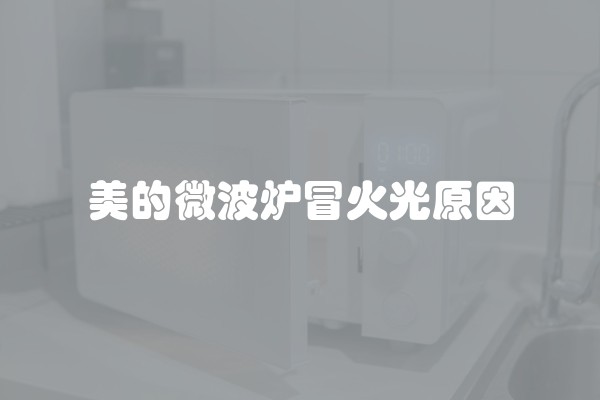 美的微波炉冒火光原因