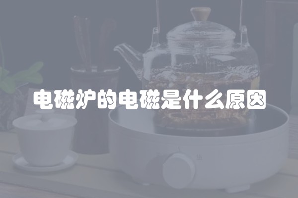 电磁炉的电磁是什么原因