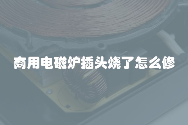 商用电磁炉插头烧了怎么修