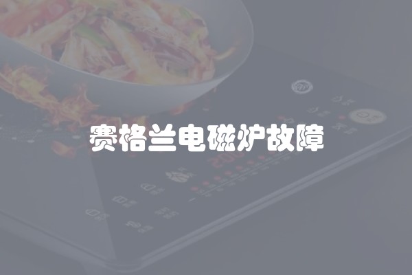 赛格兰电磁炉故障