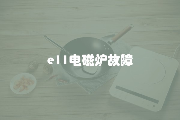 e11电磁炉故障