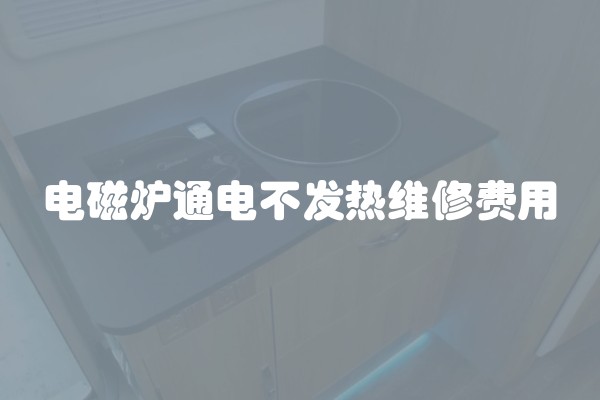 电磁炉通电不发热维修费用