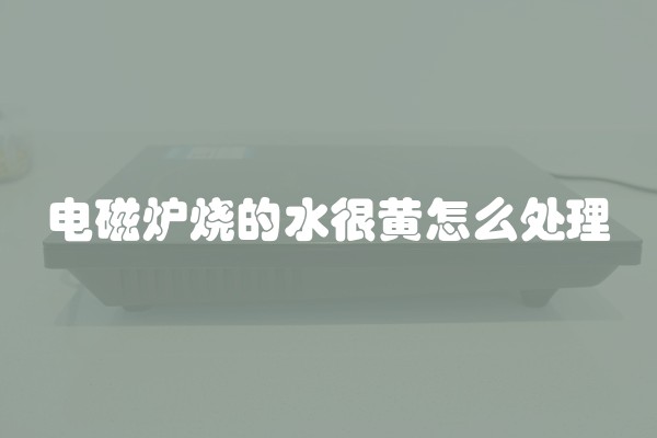 电磁炉烧的水很黄怎么处理