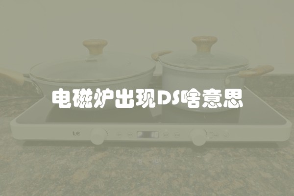 电磁炉出现DS啥意思