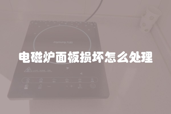 电磁炉面板损坏怎么处理