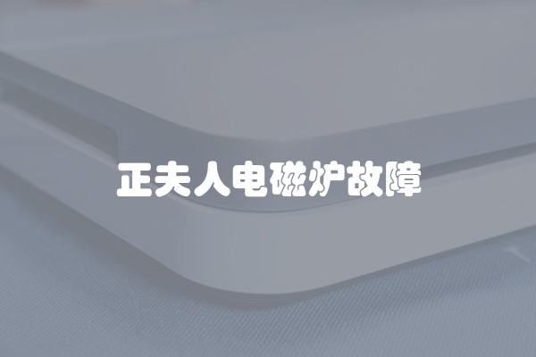 正夫人电磁炉故障