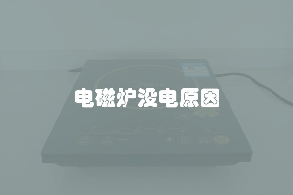 电磁炉没电原因